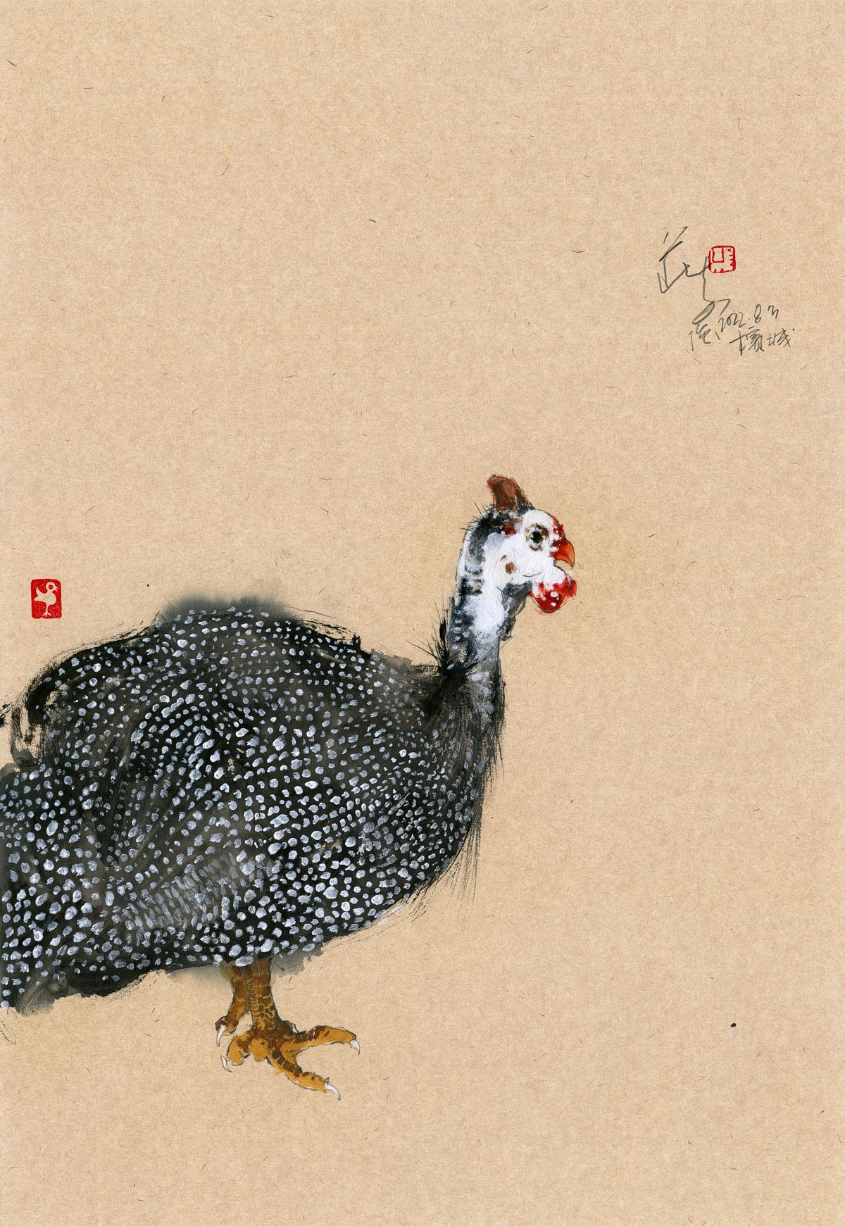 20220803 Helmeted guineafowl