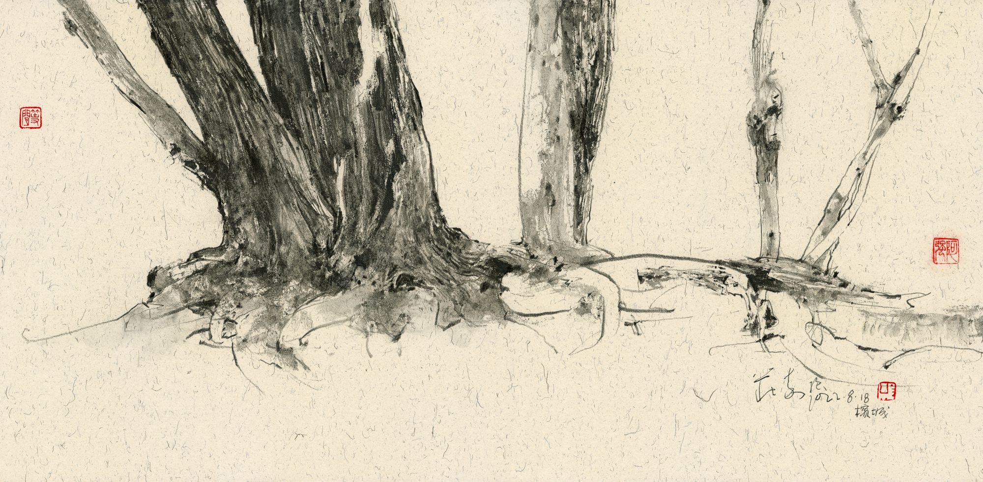 20220818 Tree Roots