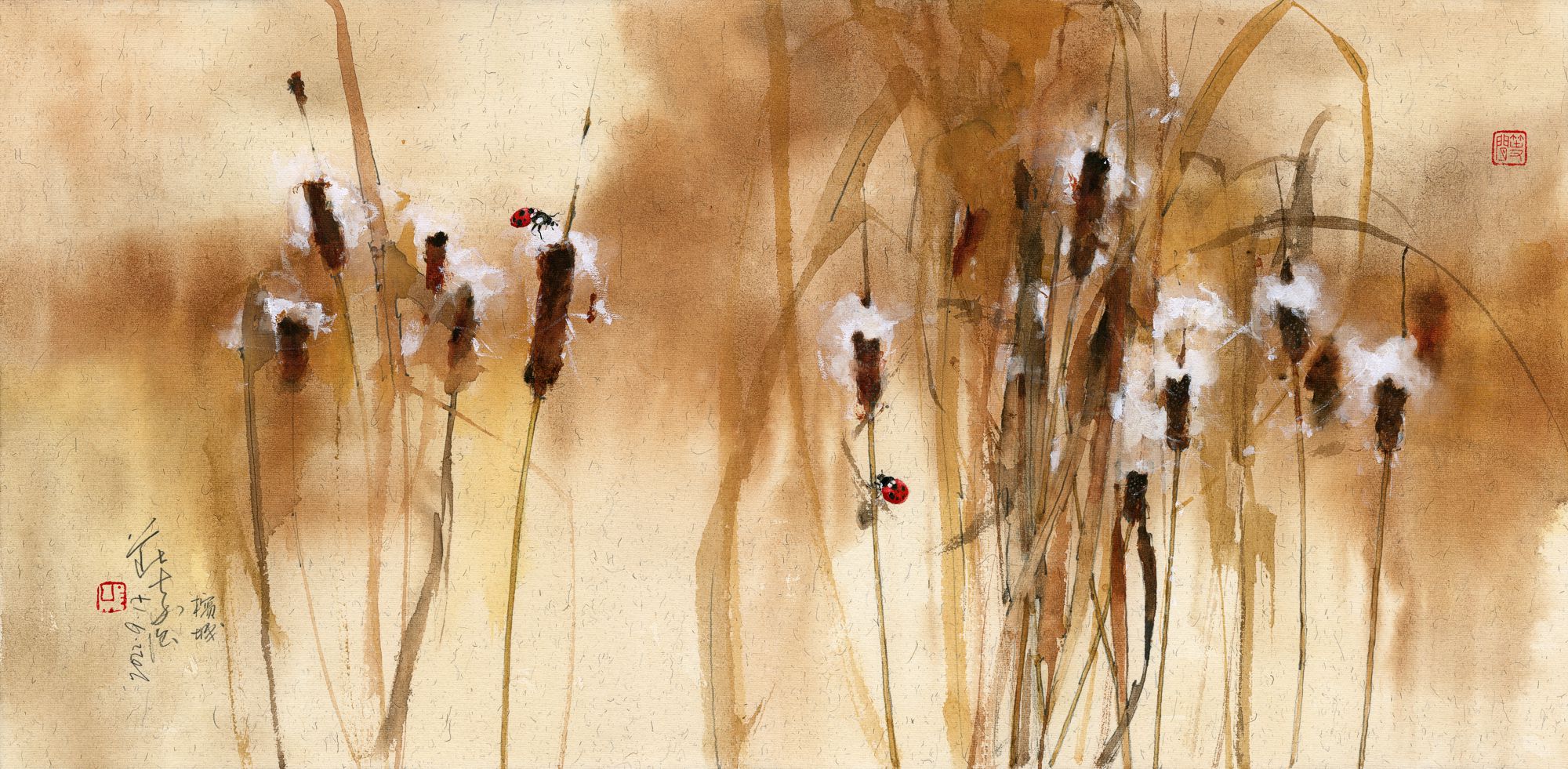 20220917 Ladybirds and Bulrushes