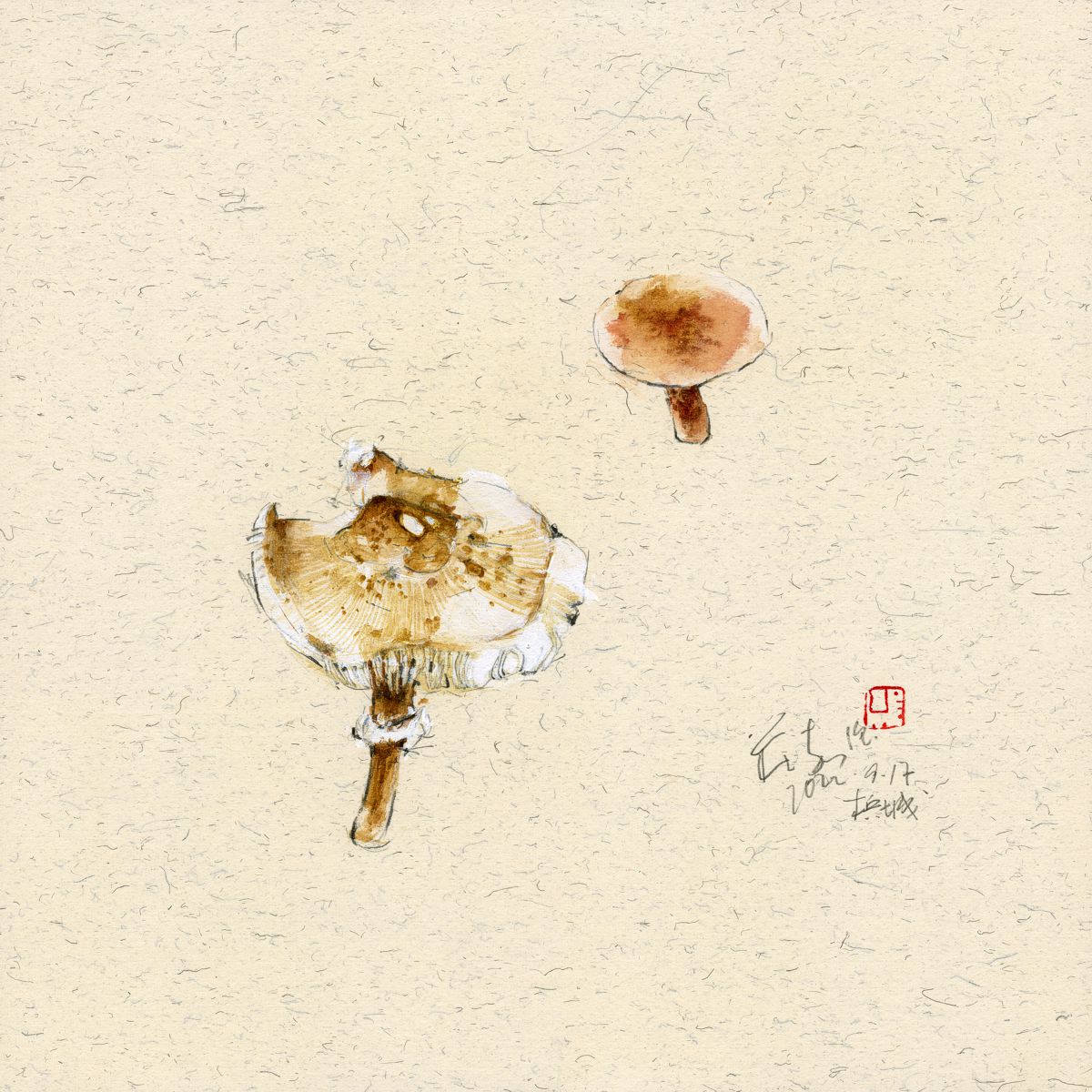20220917 Wild Mushrooms I