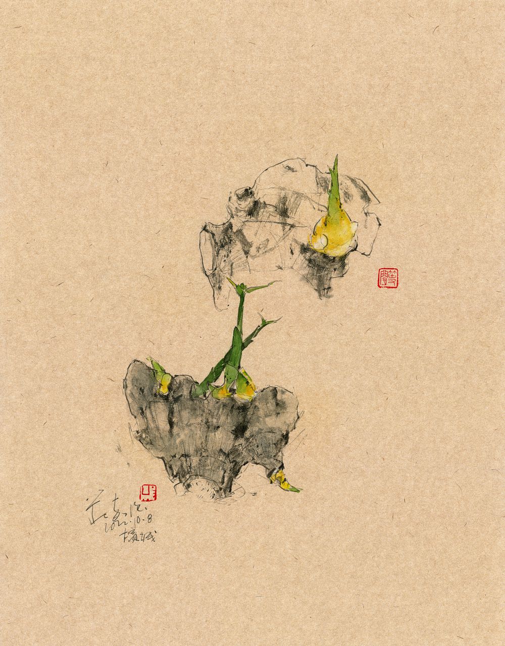 20221008 Ginger Sprouting