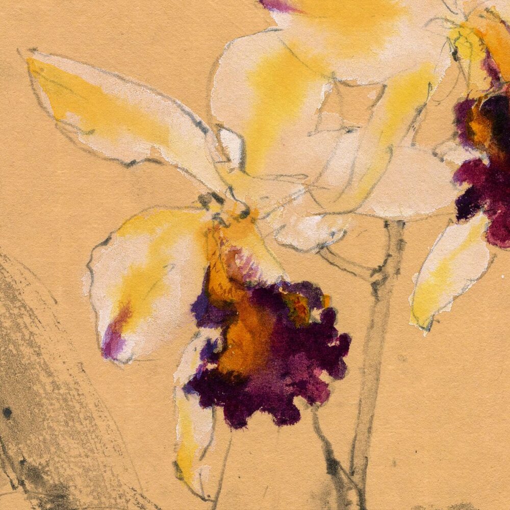 20221213 Cattleya Orchid – Ch'ng Kiah Kiean