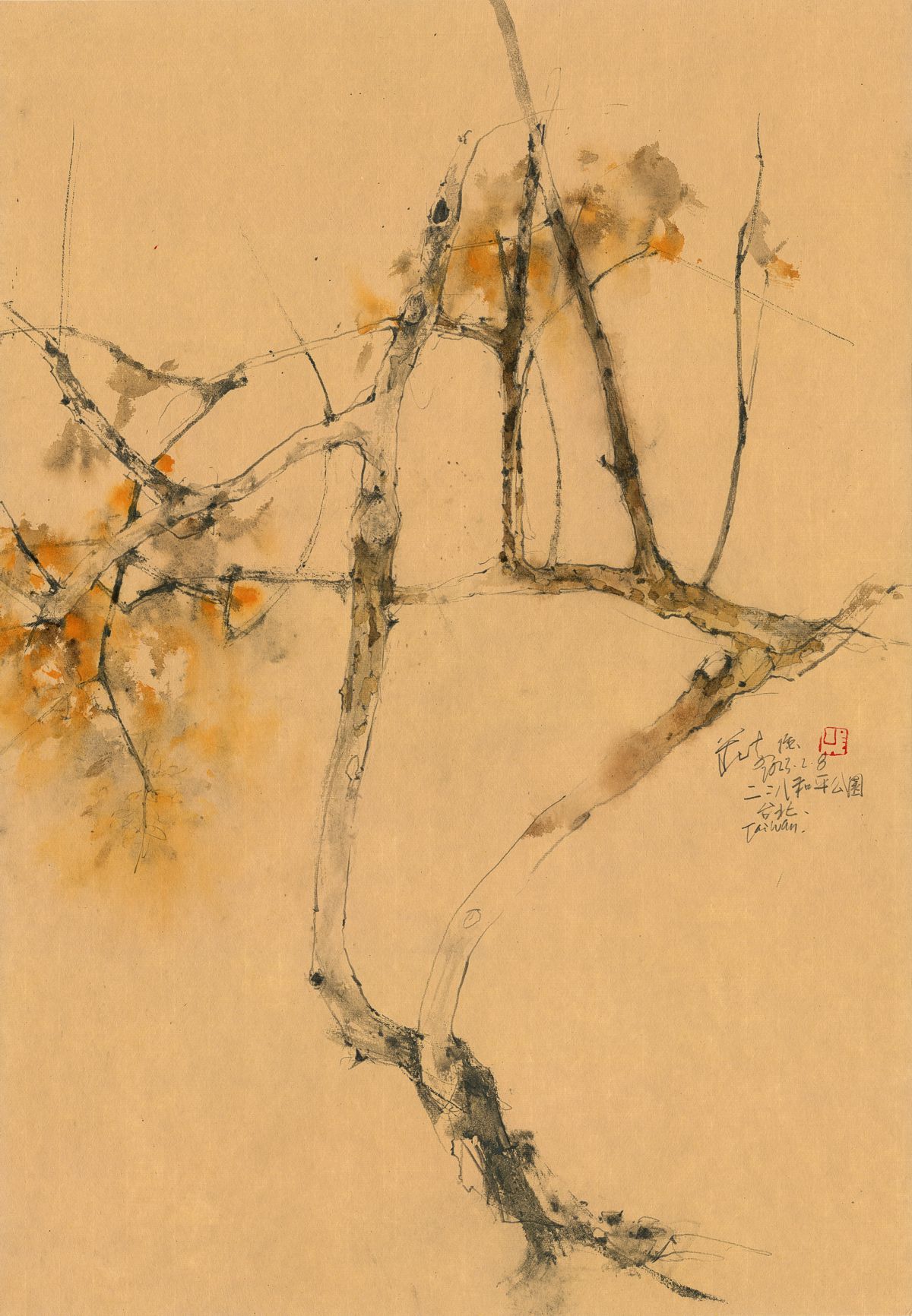 20230208 Psidium guajava, 228 Peace Park, Taipei