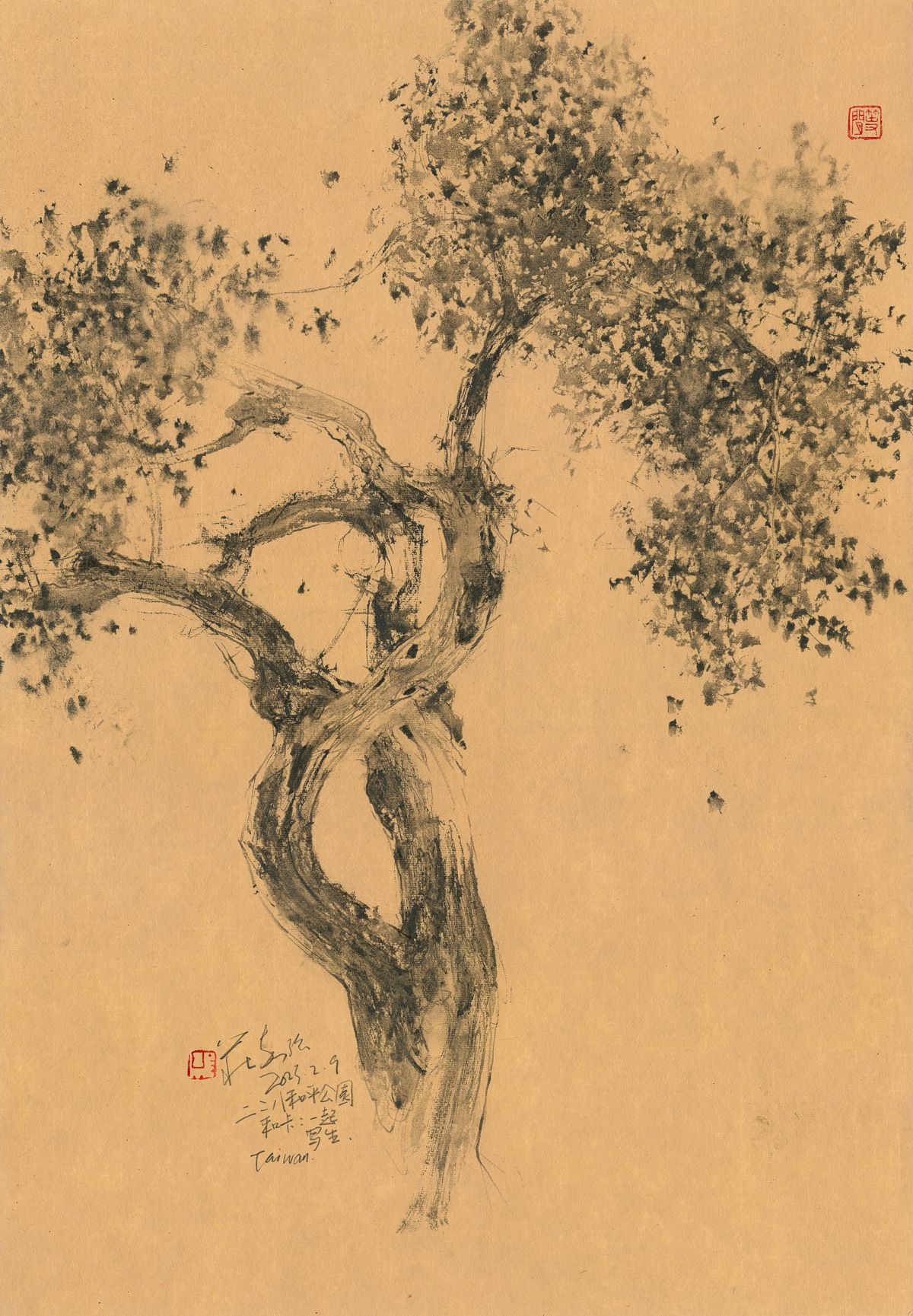 20230209 Murraya paniculata, 228 Peace Park, Taipei