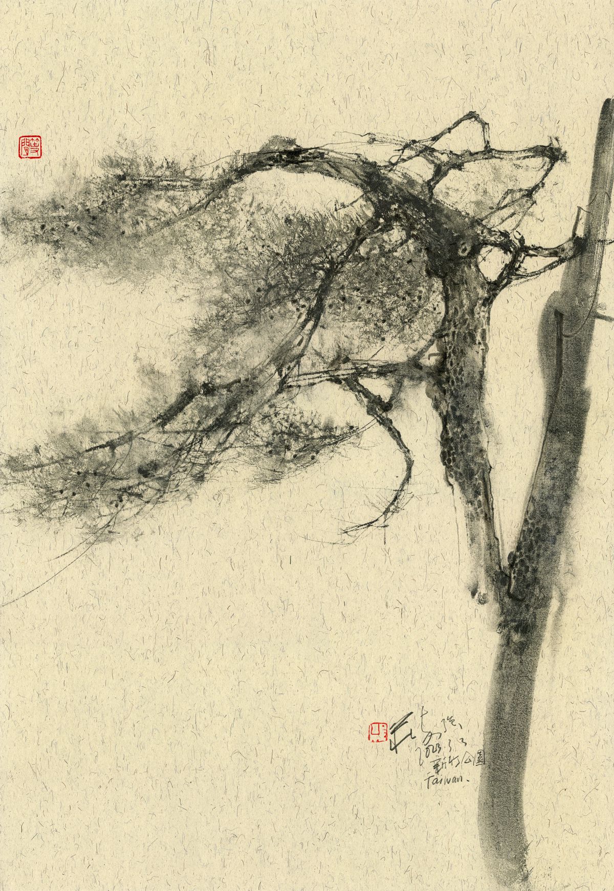 20230303 Pine Tree, Hsinchu Park, Taiwan I