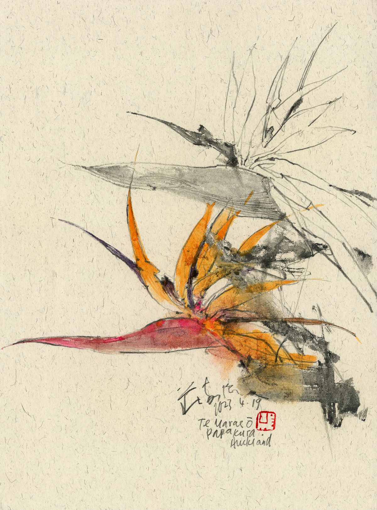 20230419 Bird of Paradise, Te Marae O, Papakura, Auckland