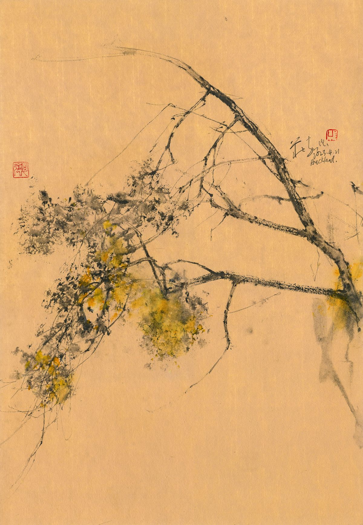 20230421 Autumn Tree, Auckland University of Technology