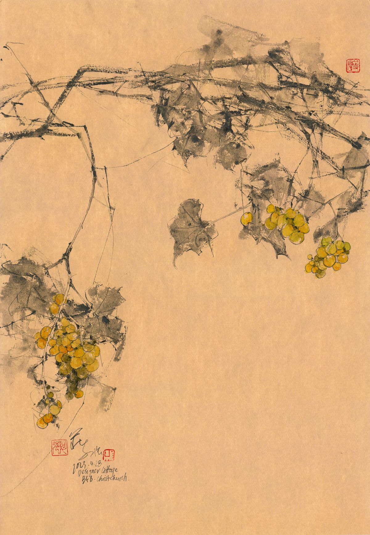 20230428 Yellow Grapes, Designer Cottage B&B, Christchurch I