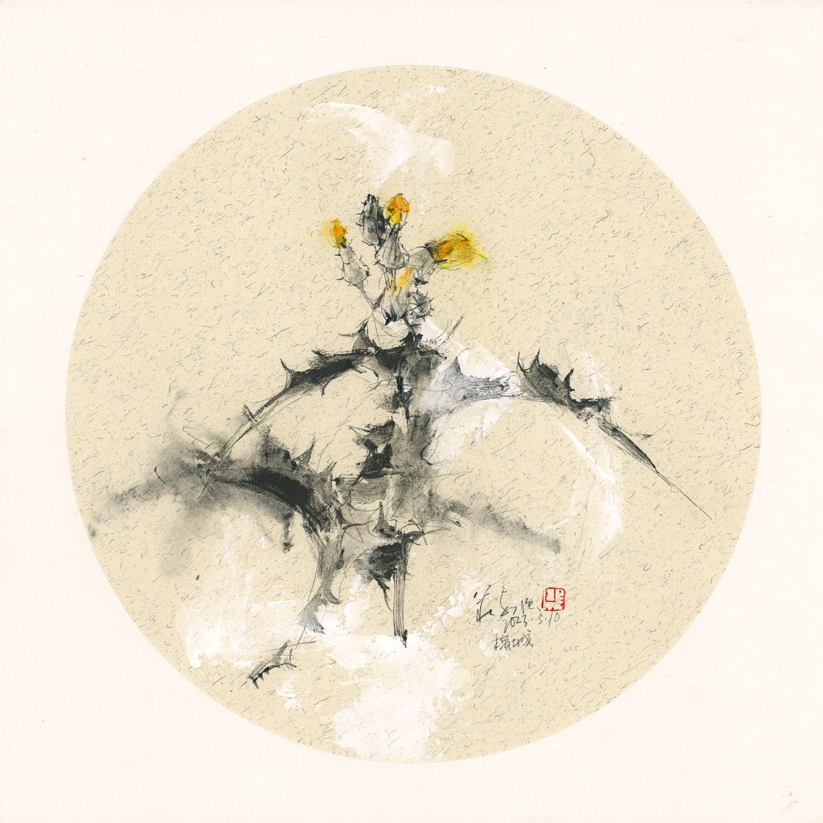 20230510 Sonchus arvensis