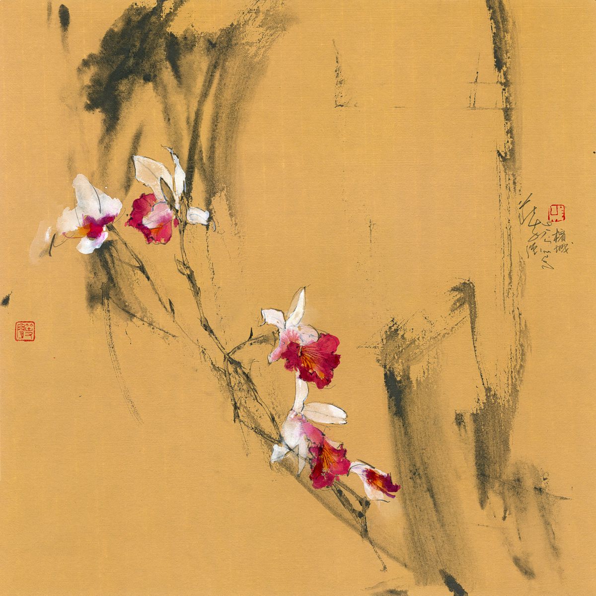 20230516 Bamboo Orchid