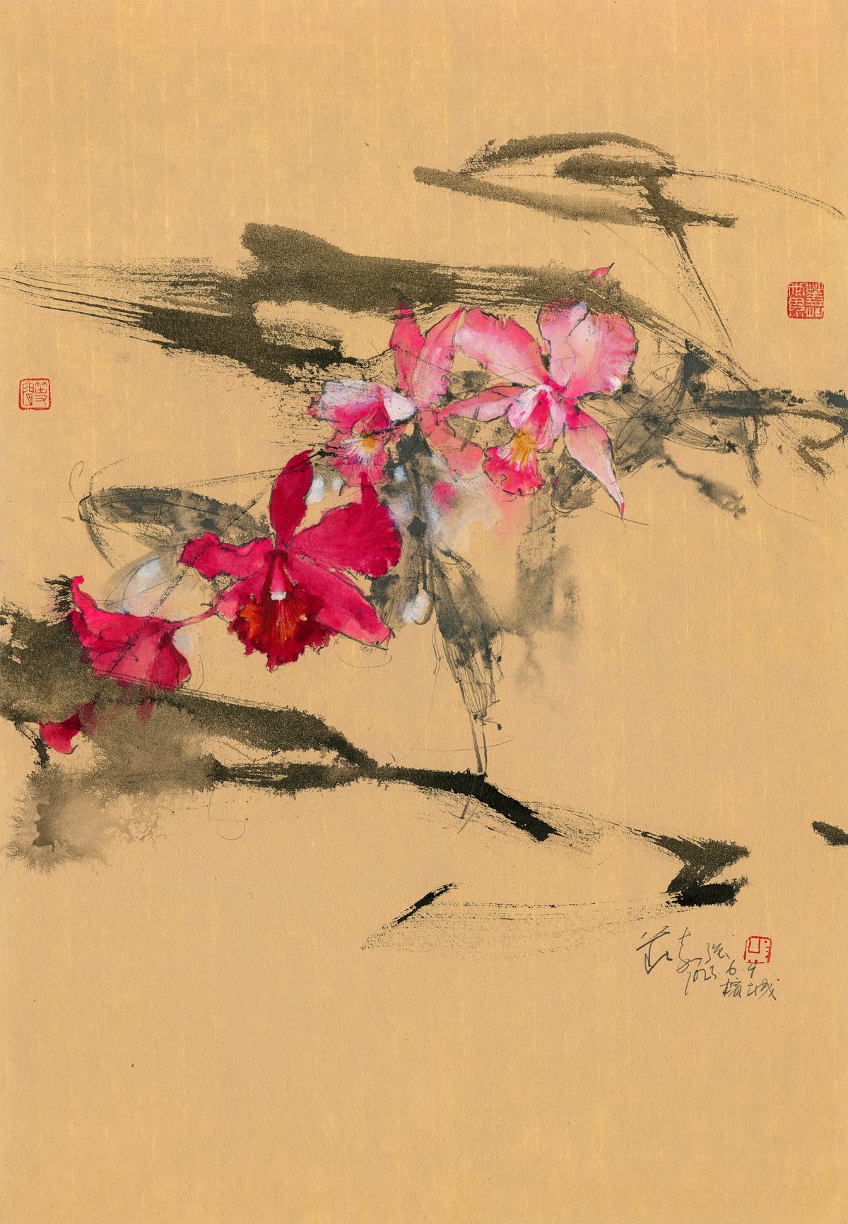 20230609 Crimson Cattleya