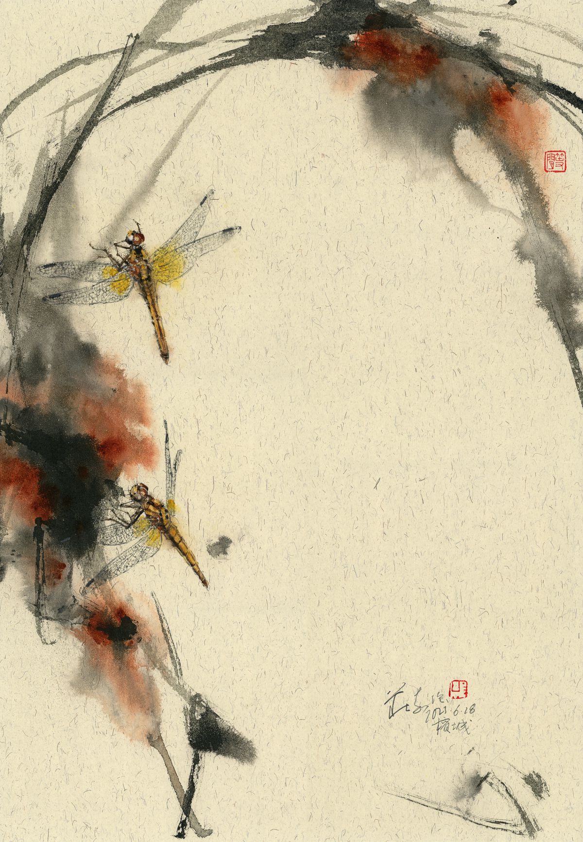 20230628 Two Golden Dragonflies (Orthetrum glaucum)