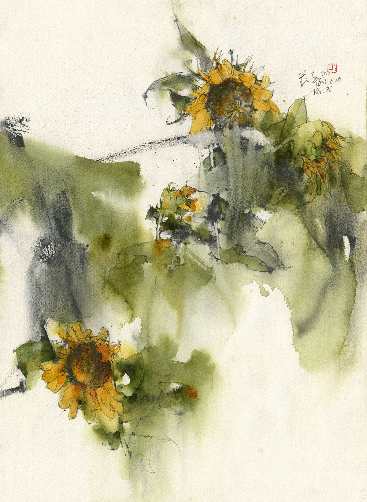 20230629 Sunflowers