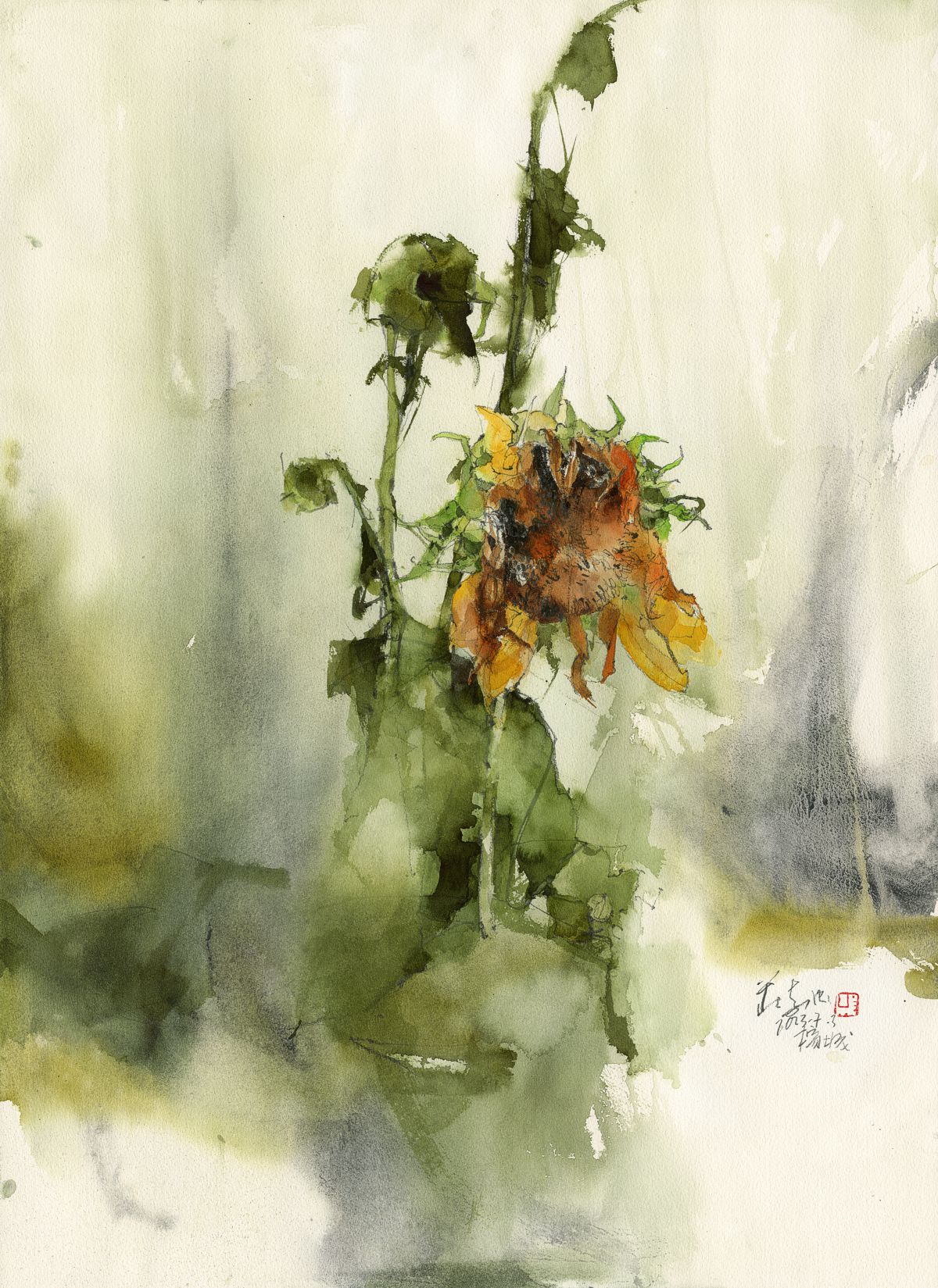 20230703 Sunflowers