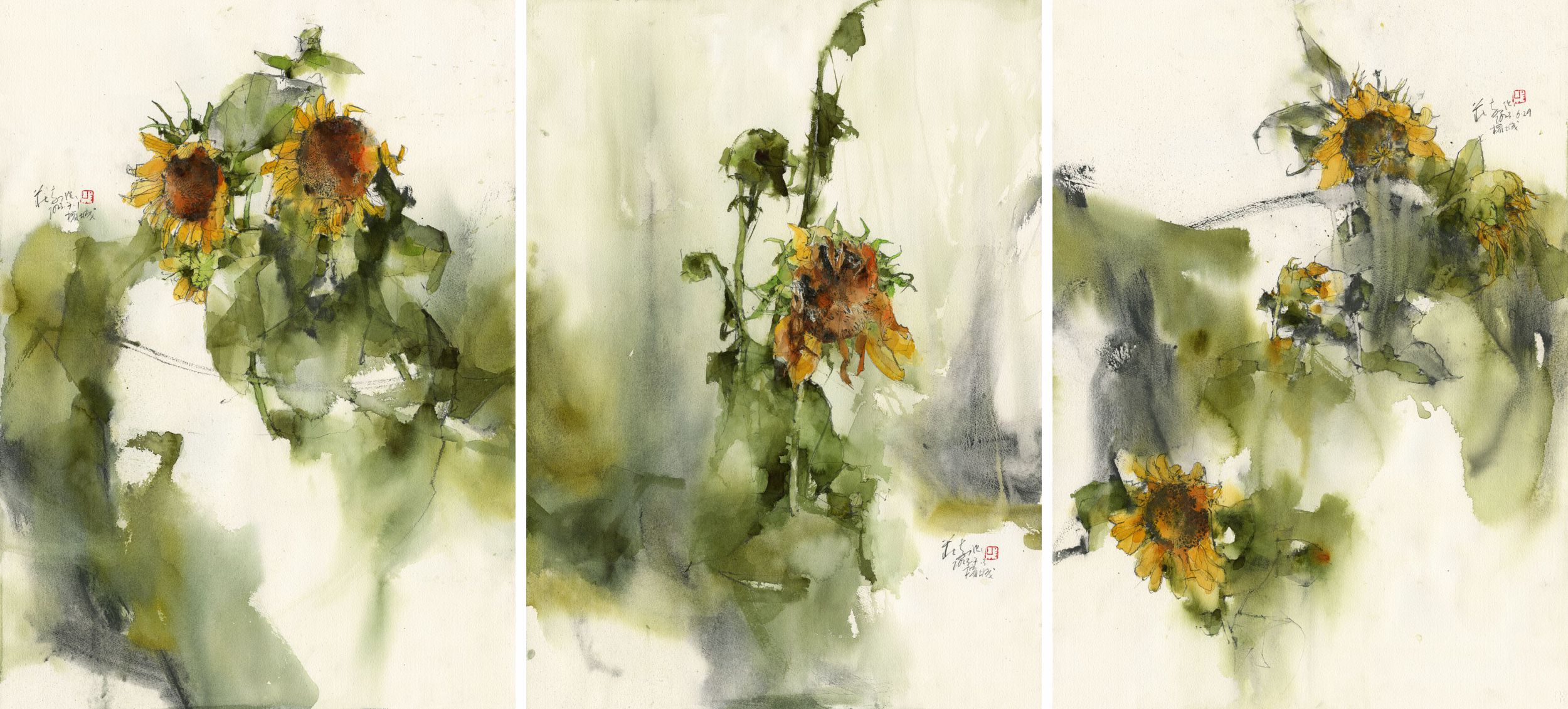 Sunflower Series