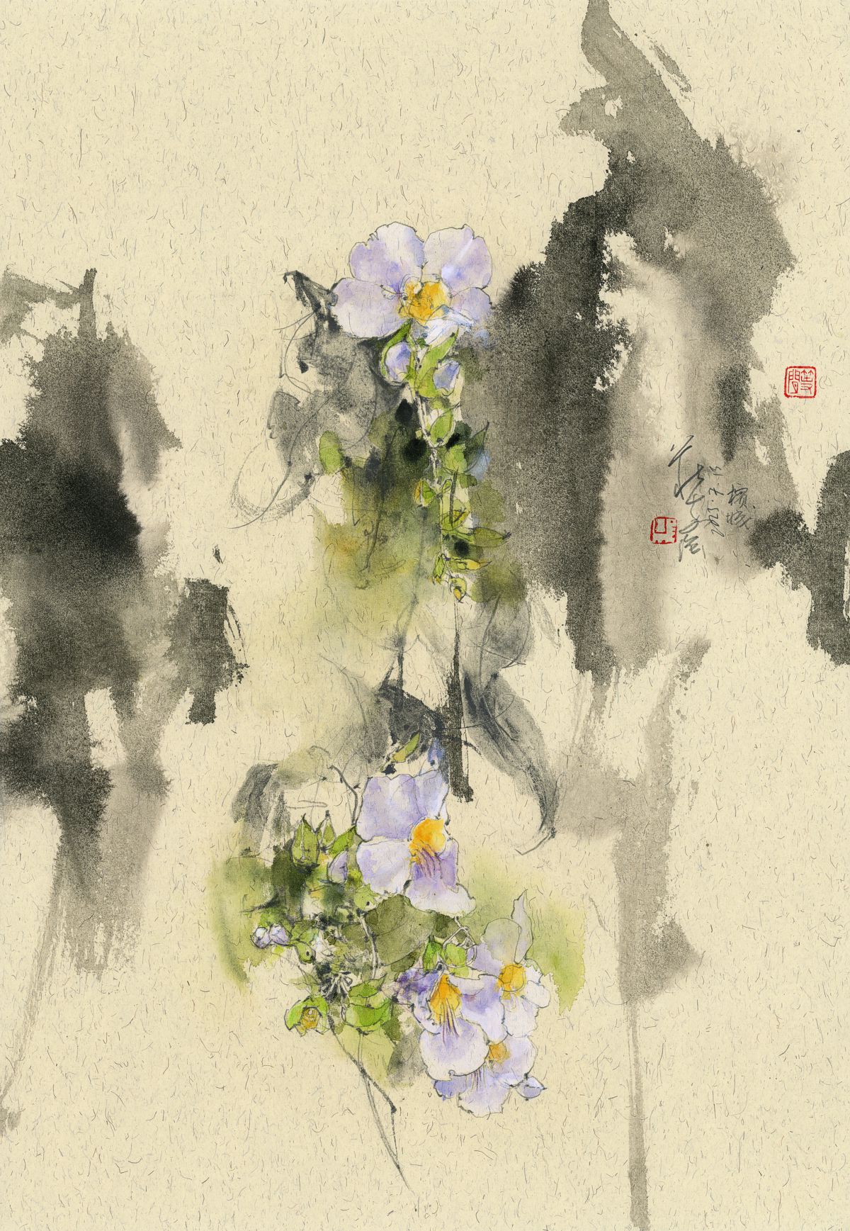 20230713 Blue Trumpet Vine