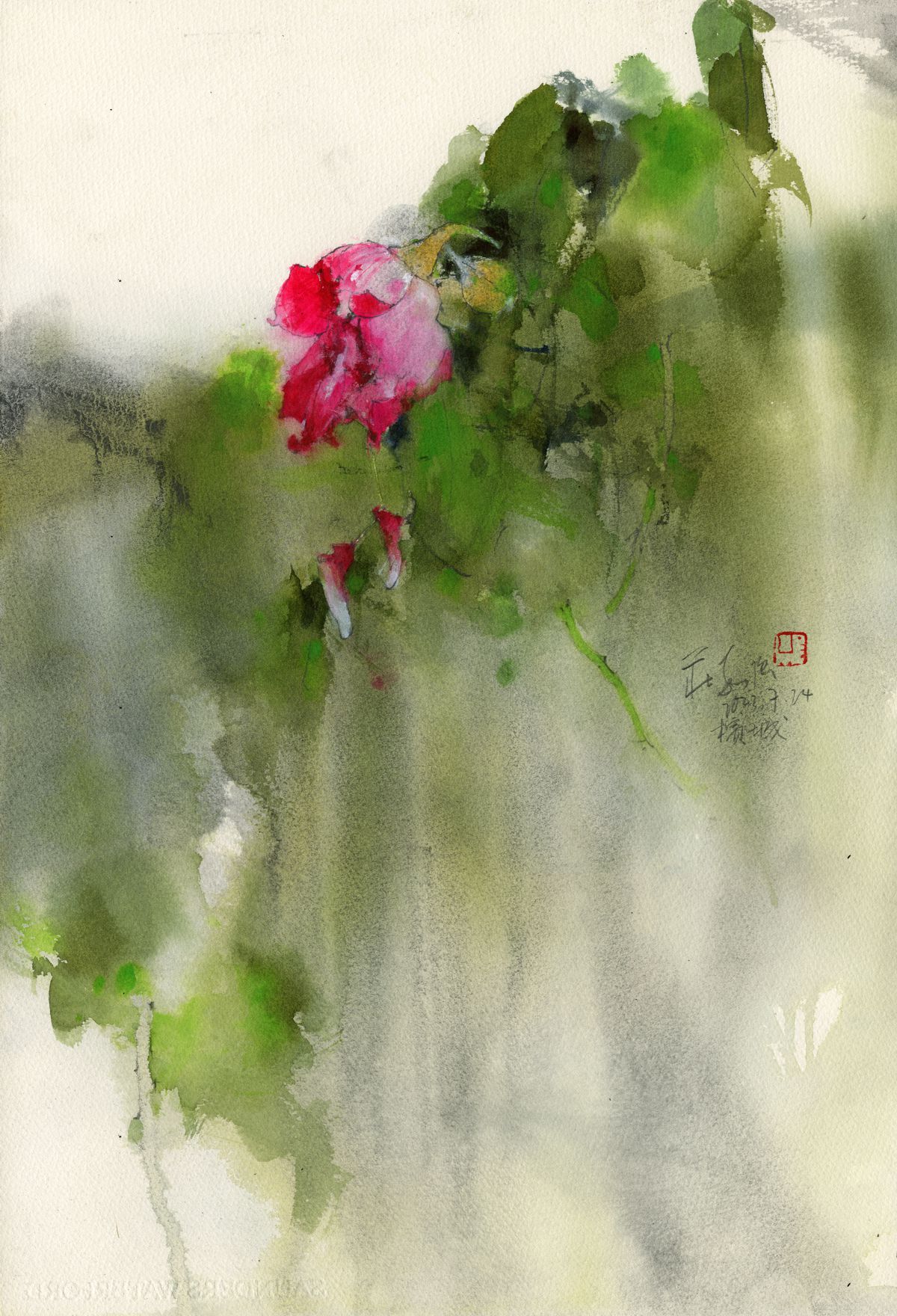 20230724 Rose