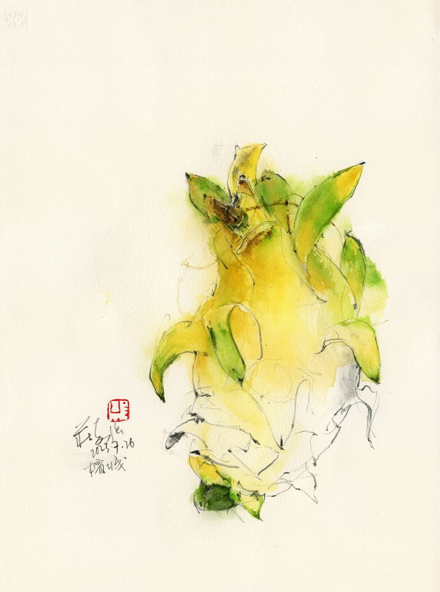 20230726 Golden Yellow Dragon Fruit