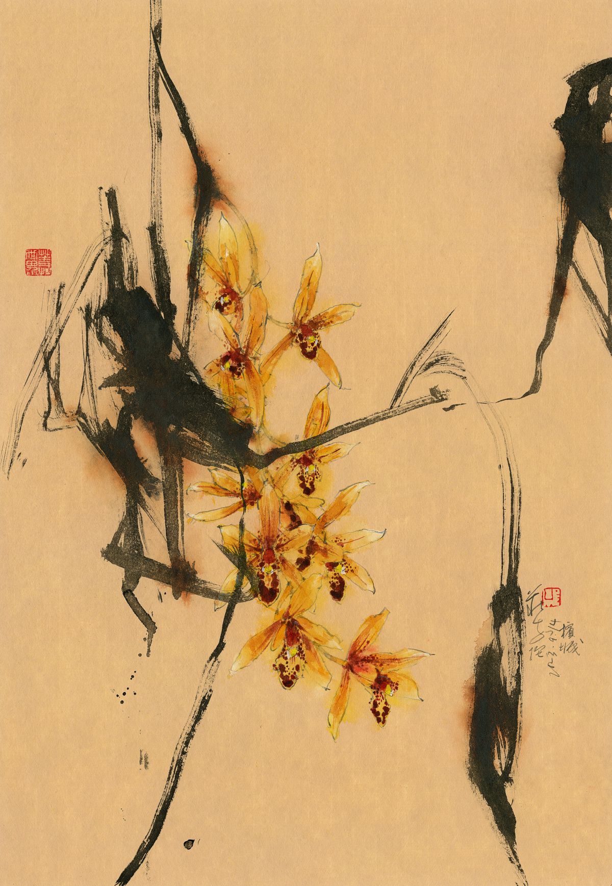 20230914 Cymbidium Lilliput