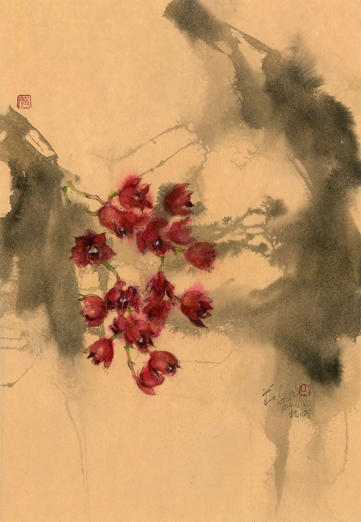 20231121 Black Pearl Orchid