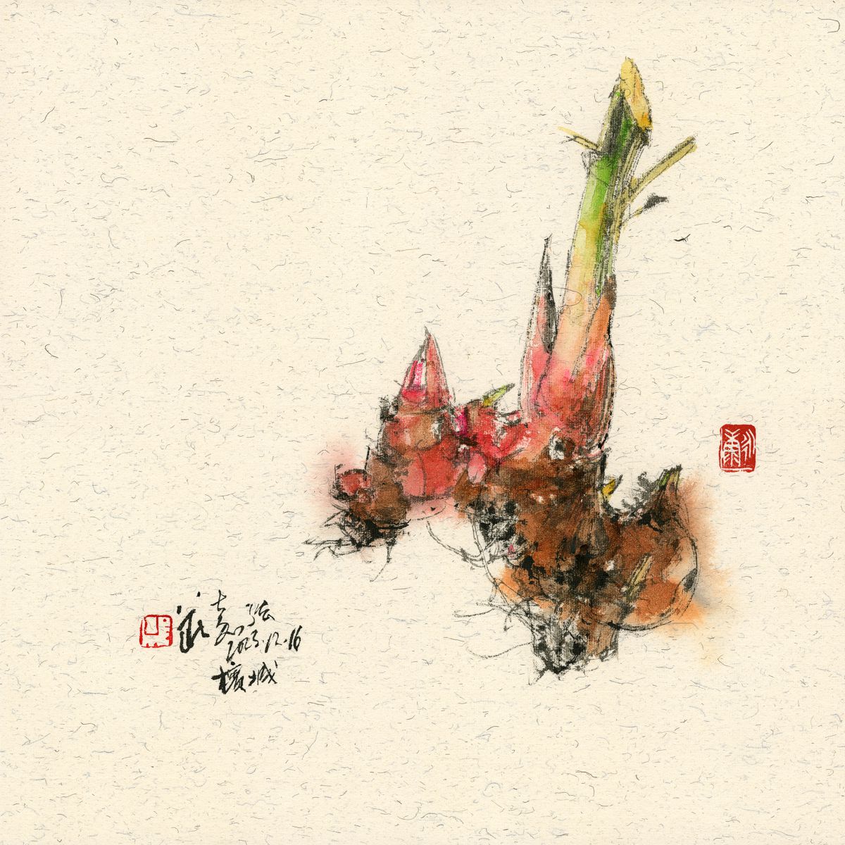 Vegetable Series