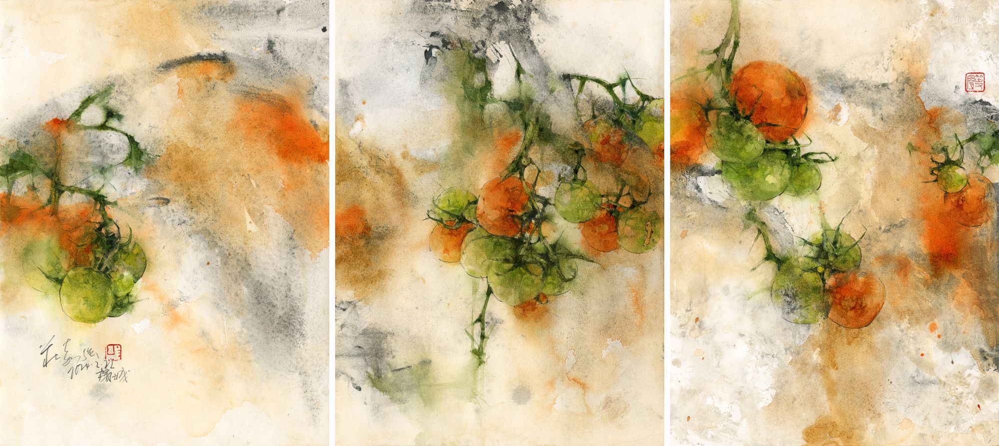 20240222 Tomatoes Series