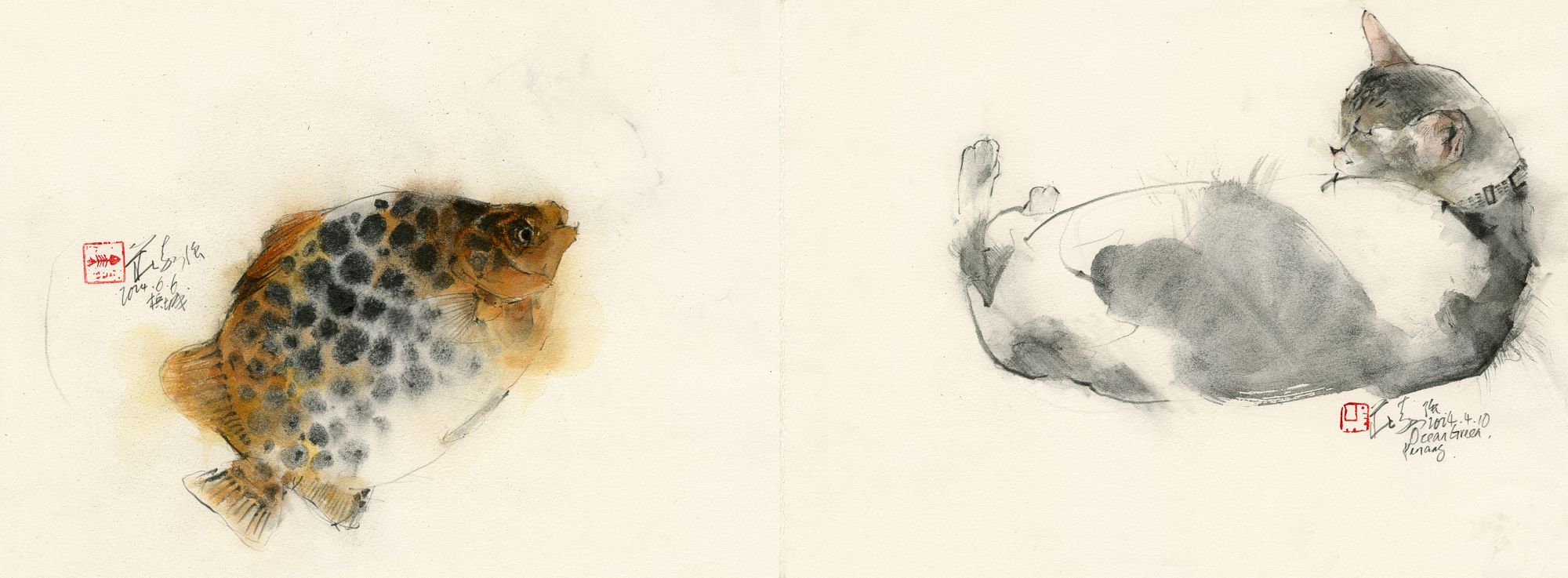 20240606 Tiger Fish & 20240410 Lee Kin’s Cat