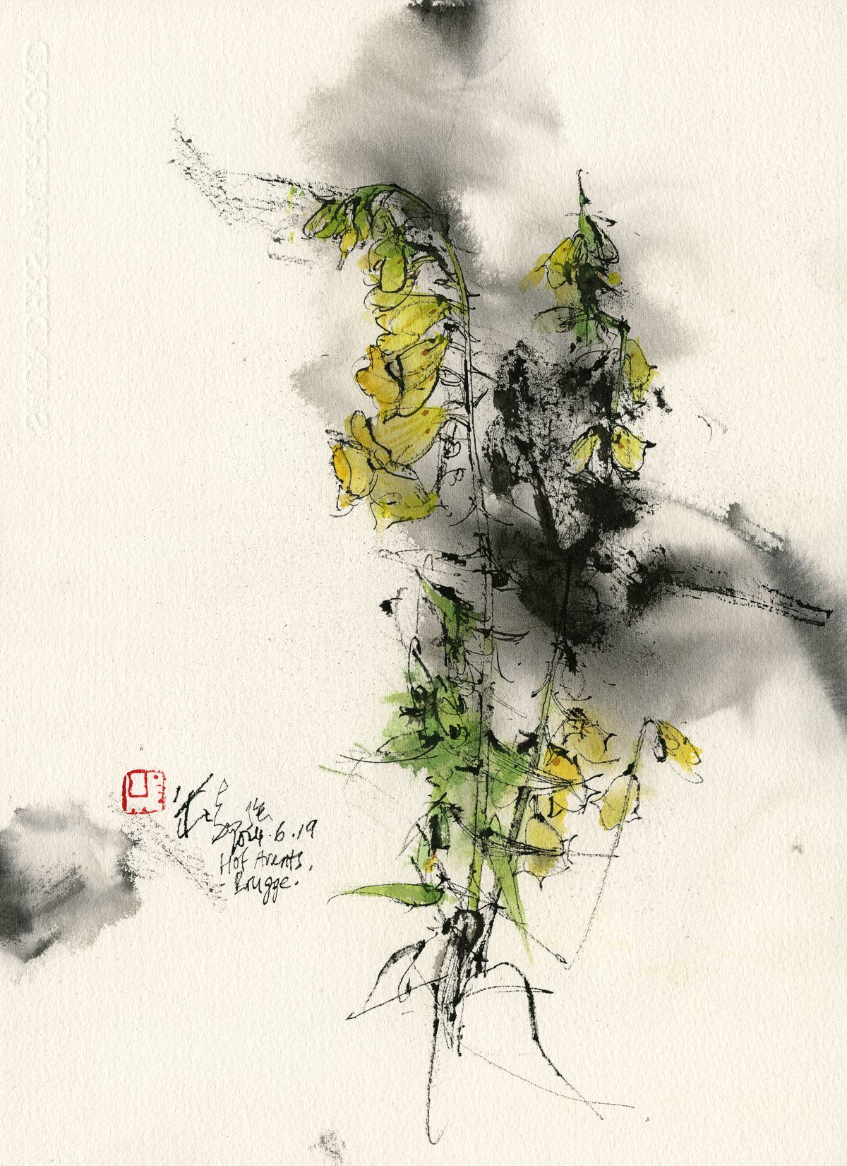 20240619 Digitalis, Hof Arents, Brugge