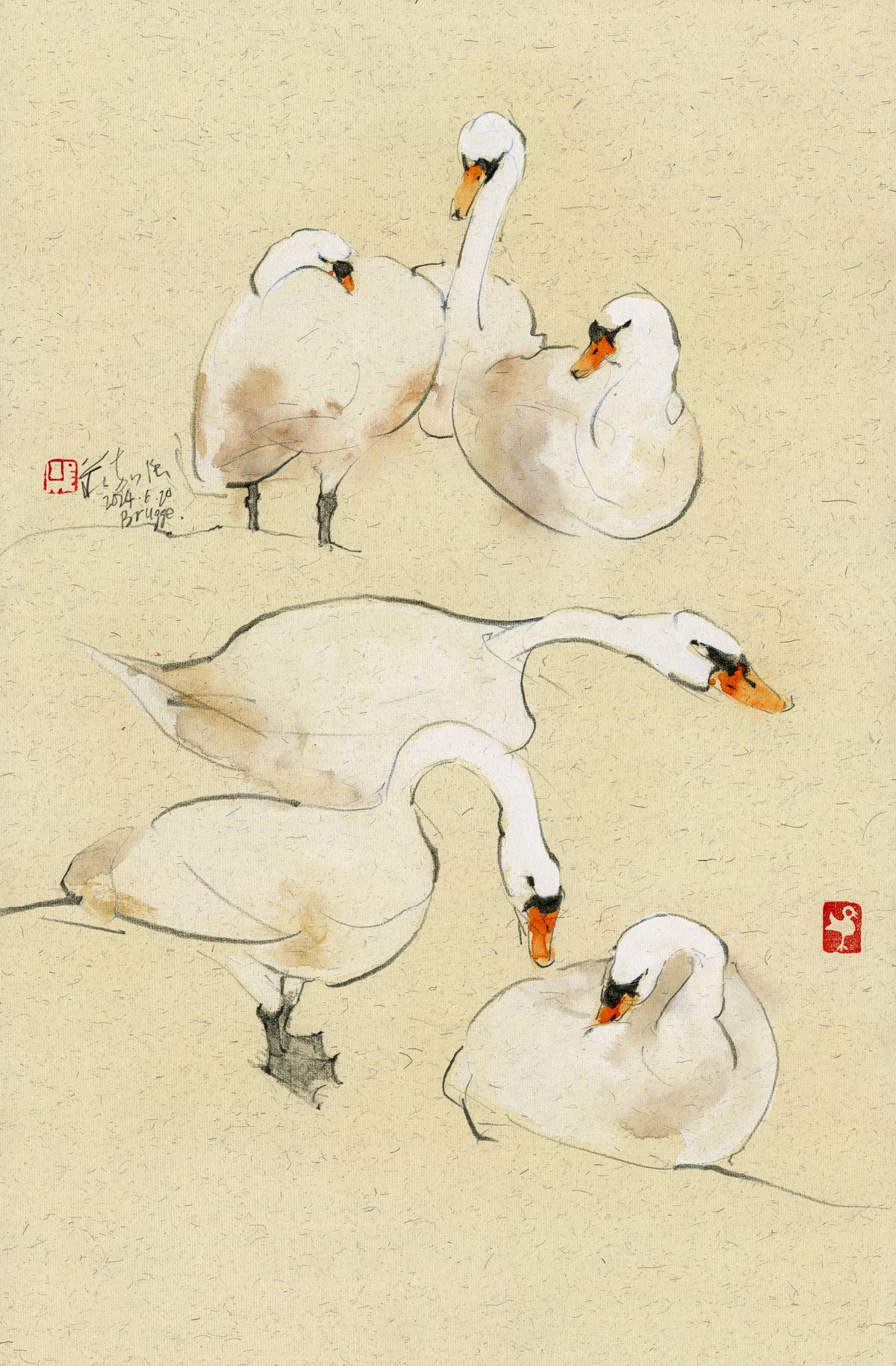 20240620 Six Swans, Minnewater, Brugge