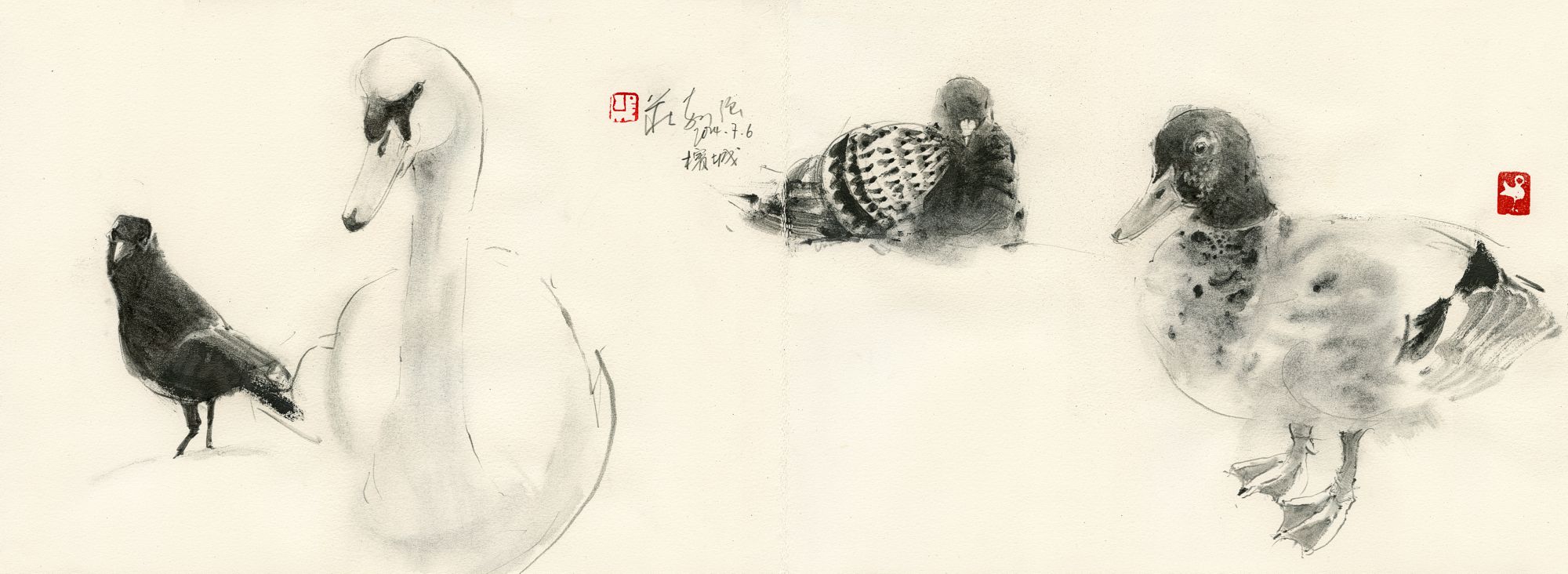 20240706 Four Birds