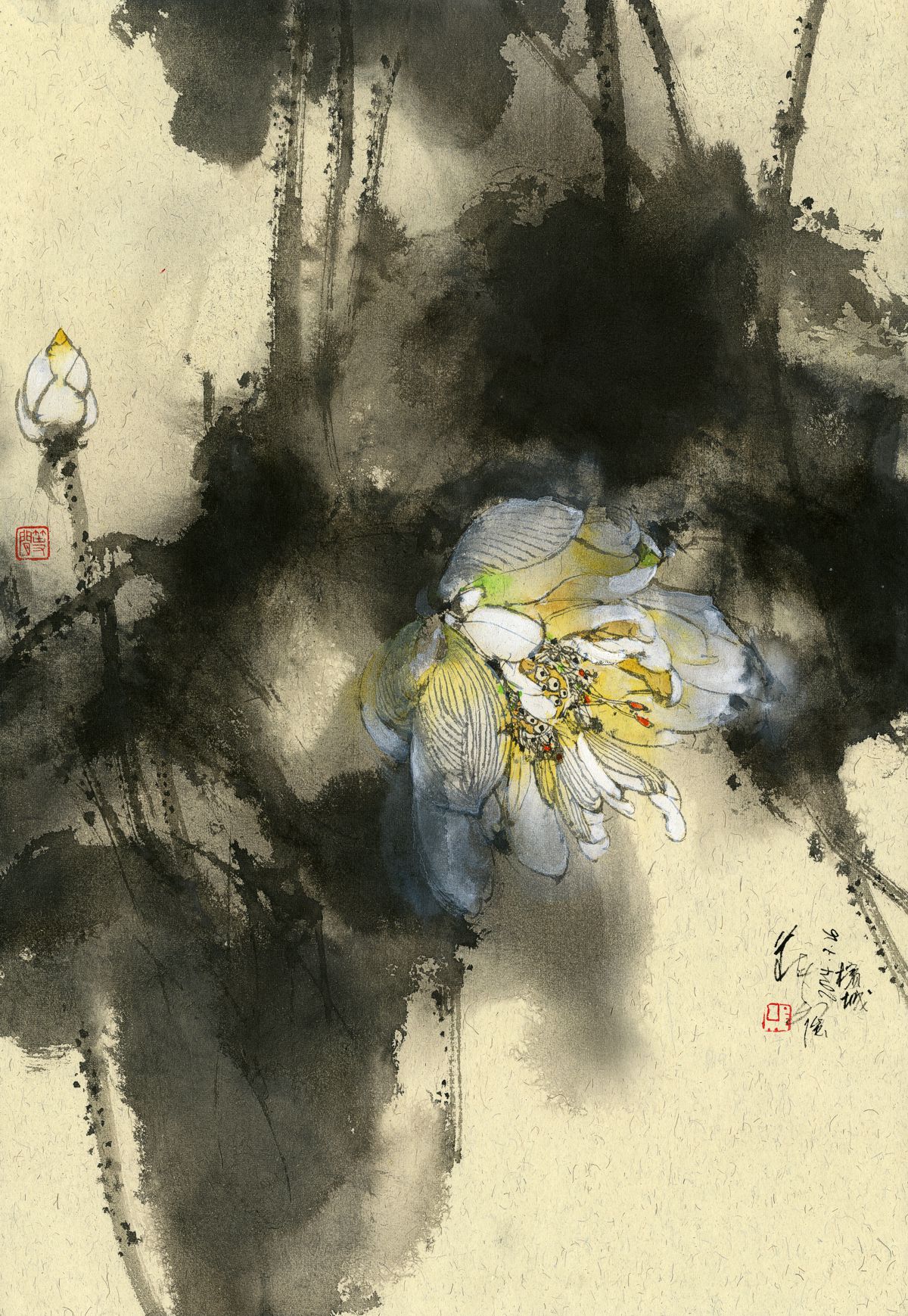 20240726 White Lotus