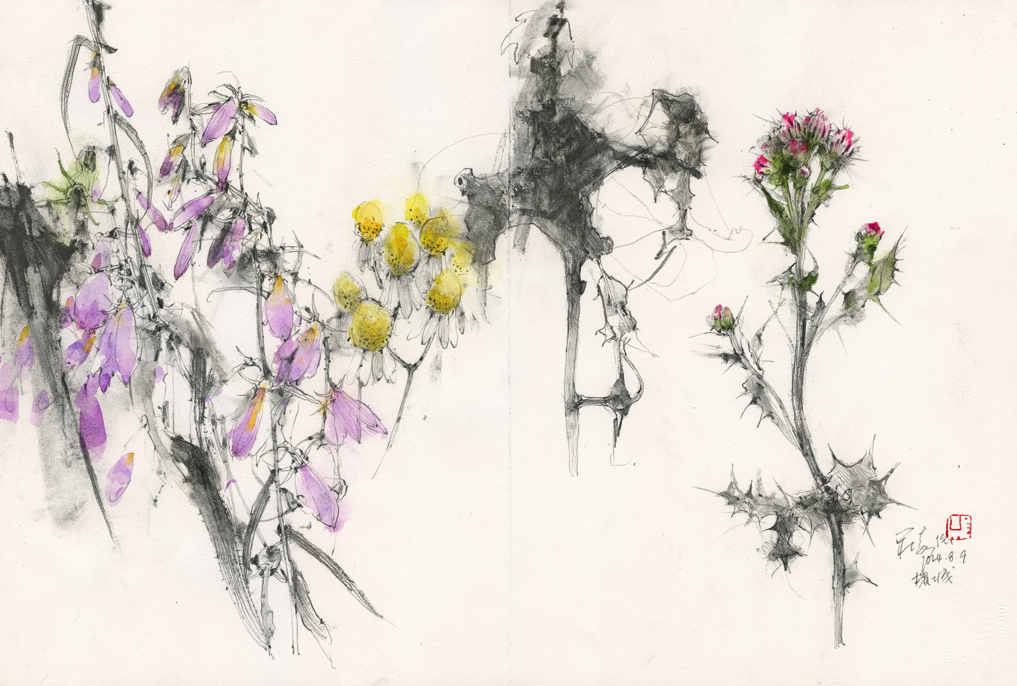 20240809 Wild Flowers Study, Belgium