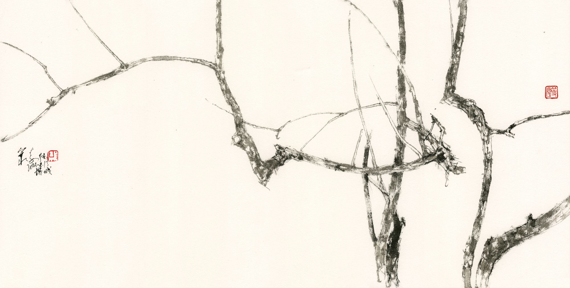 20240813 Tree