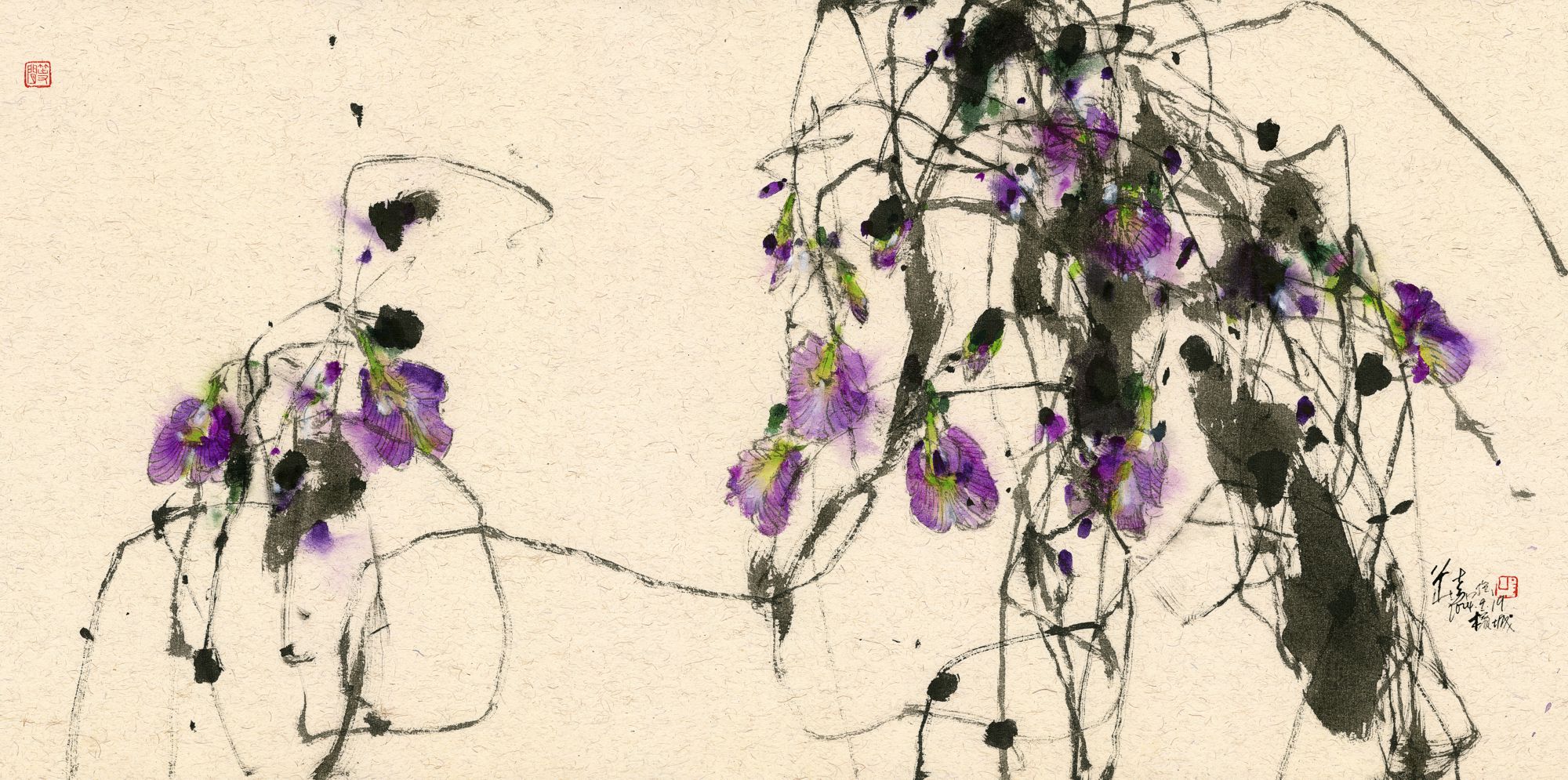 20240919 Butterfly Pea