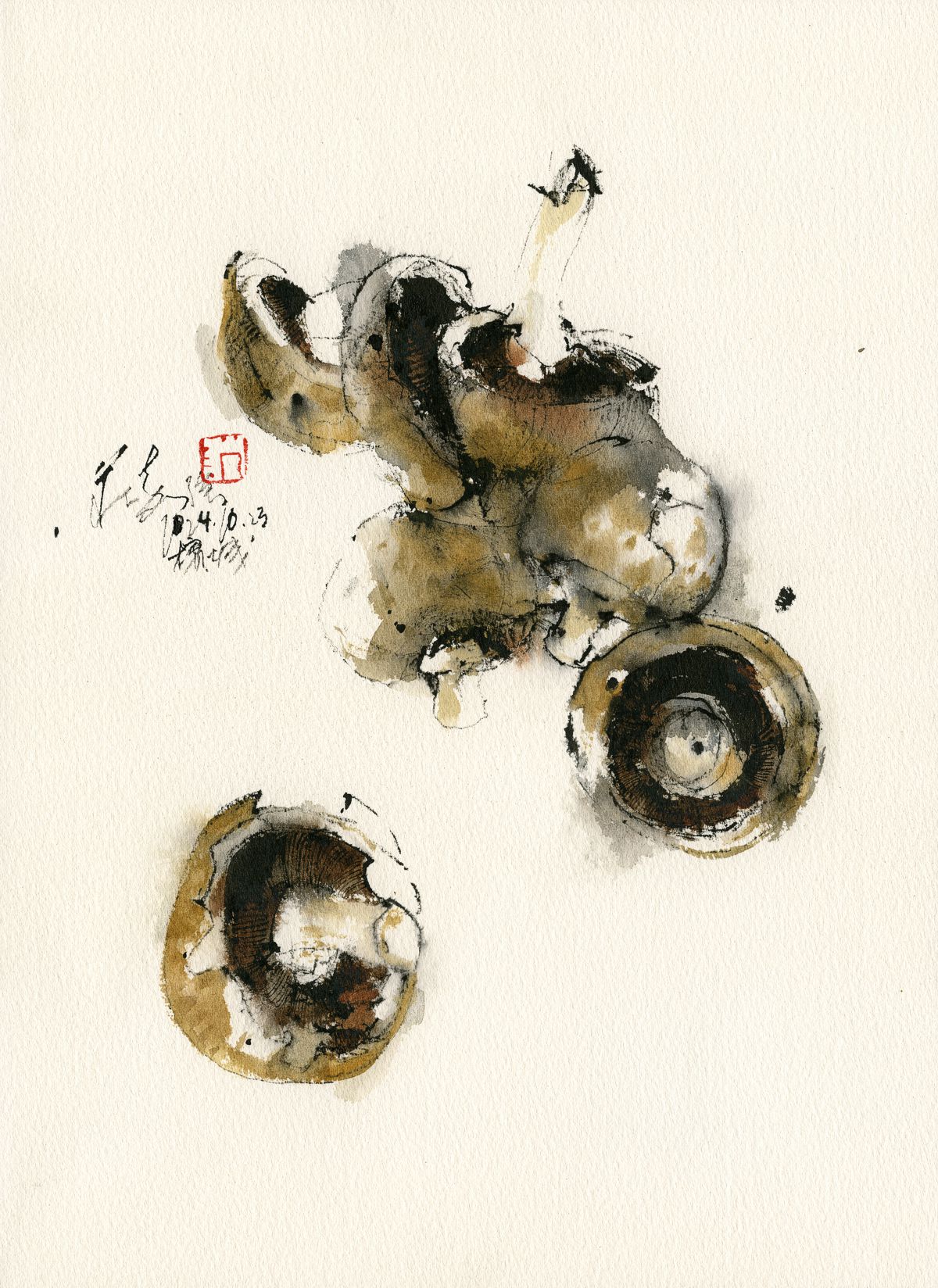 20241023 Portobello Mushrooms