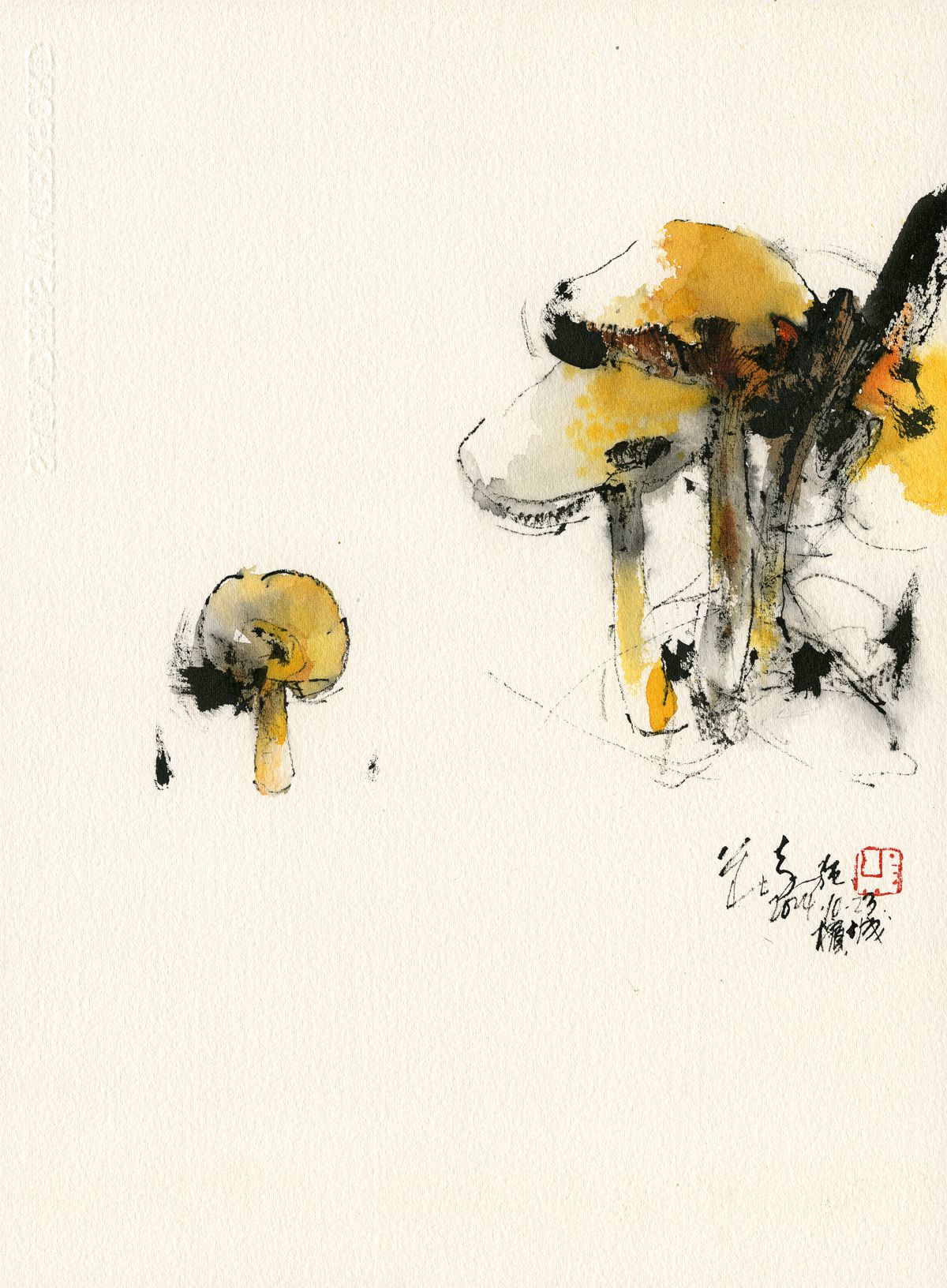 20241023 Yellow Wild Mushrooms