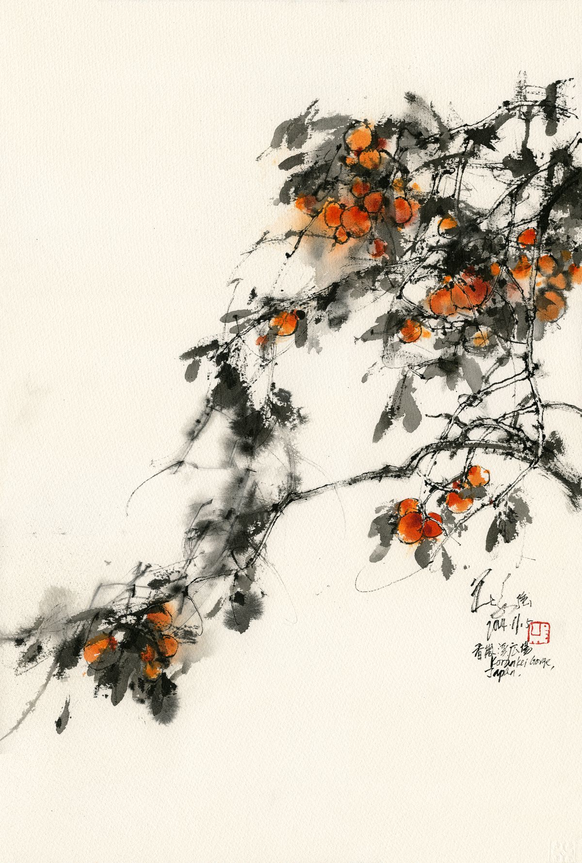 20241105 Persimmon, Korankei Gorge, Toyota, Aichi, Japan