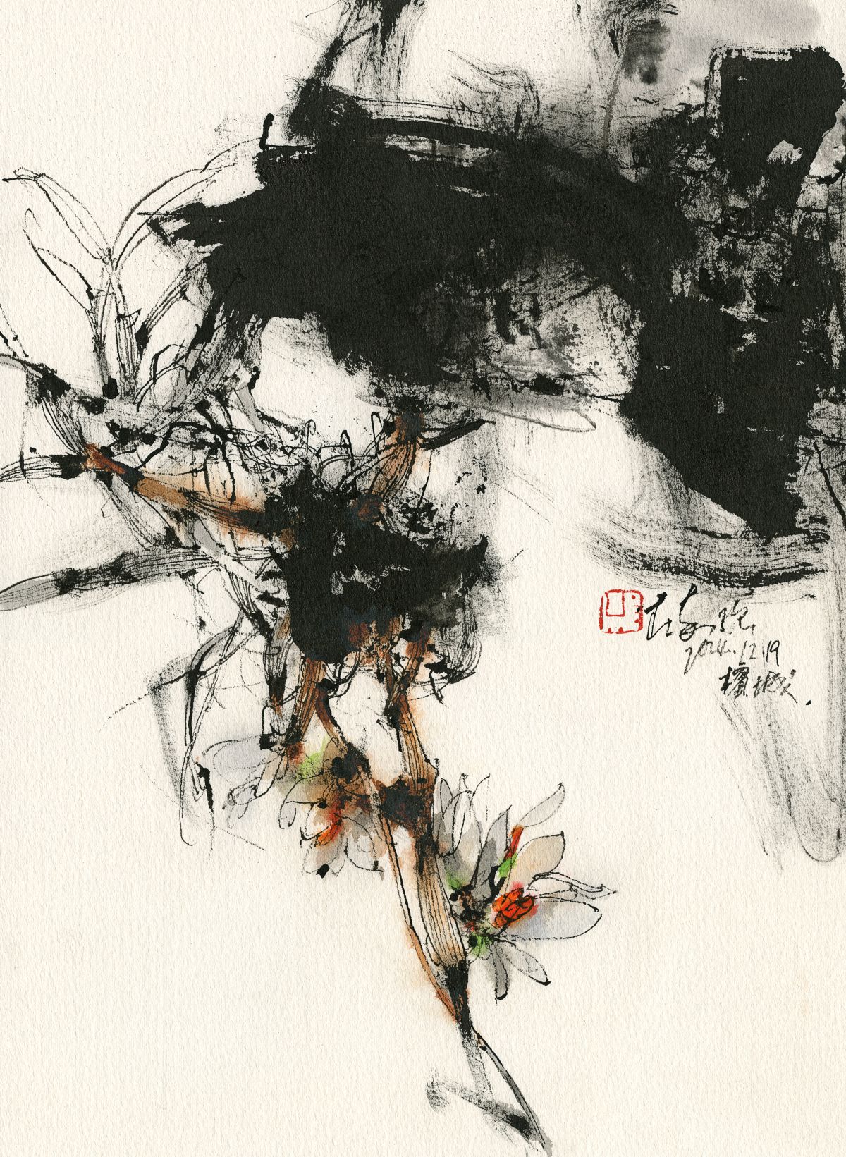Dendrobium Series