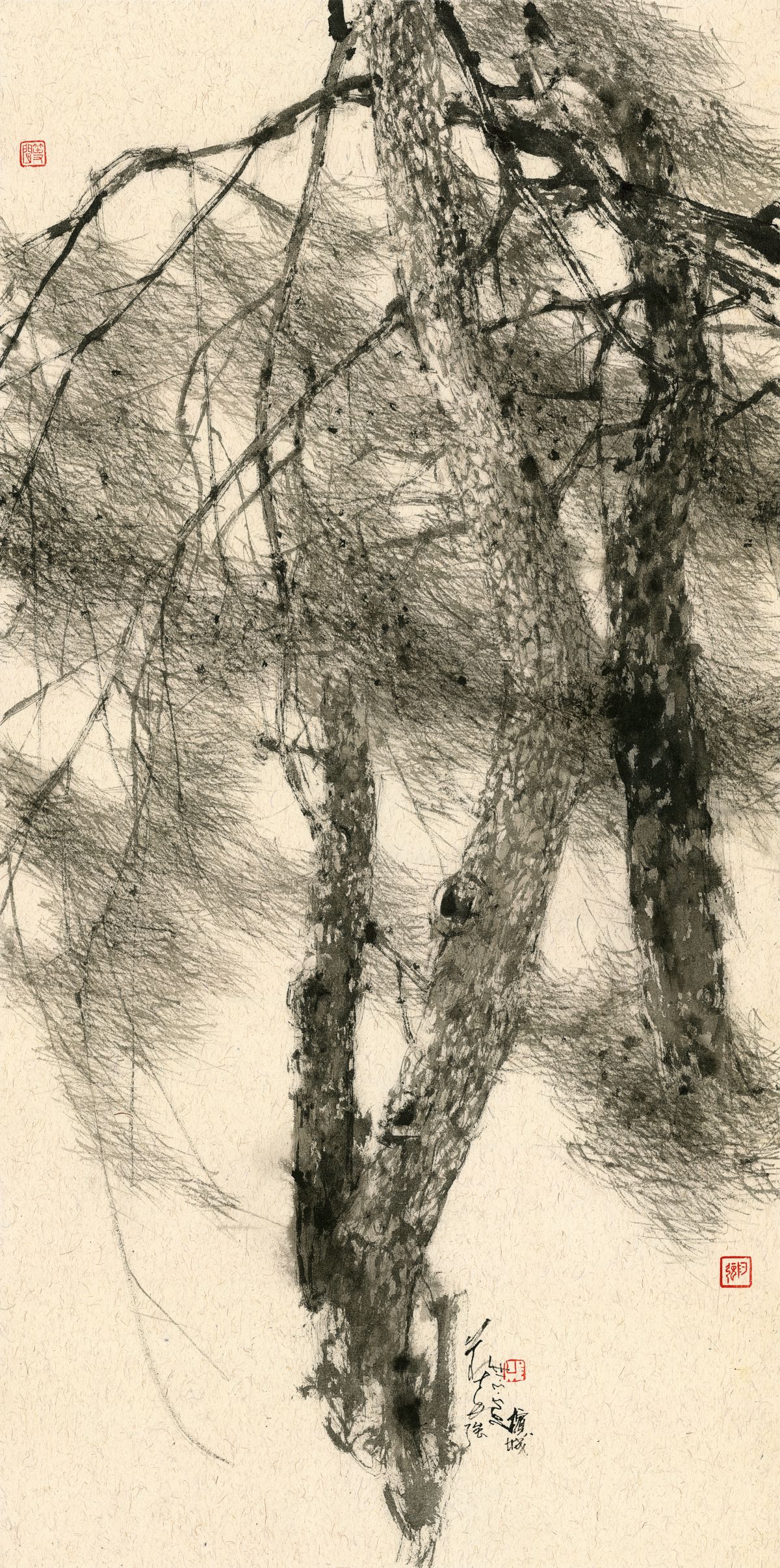 20250317 Pine Breeze