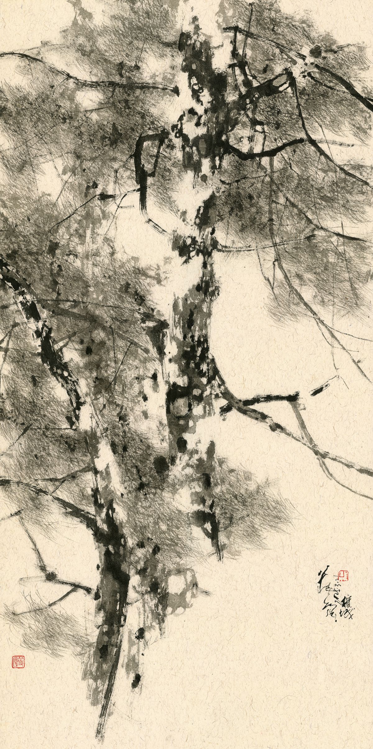 20250321 Chinese Juniper Breeze II