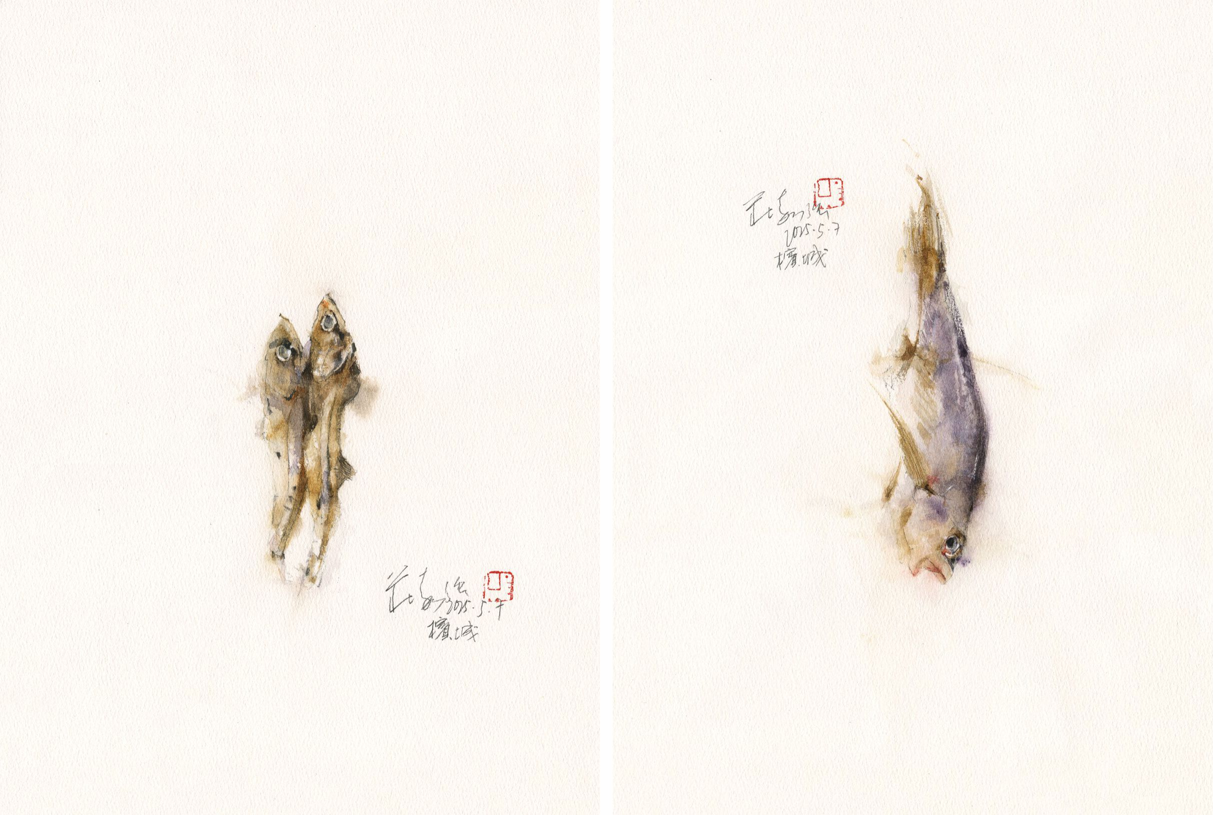 20250507 Dried Fish Series