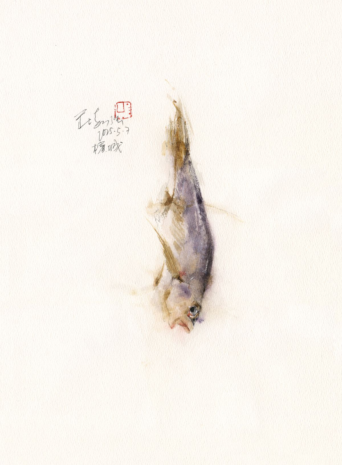20250507 Satu Ikan Masin