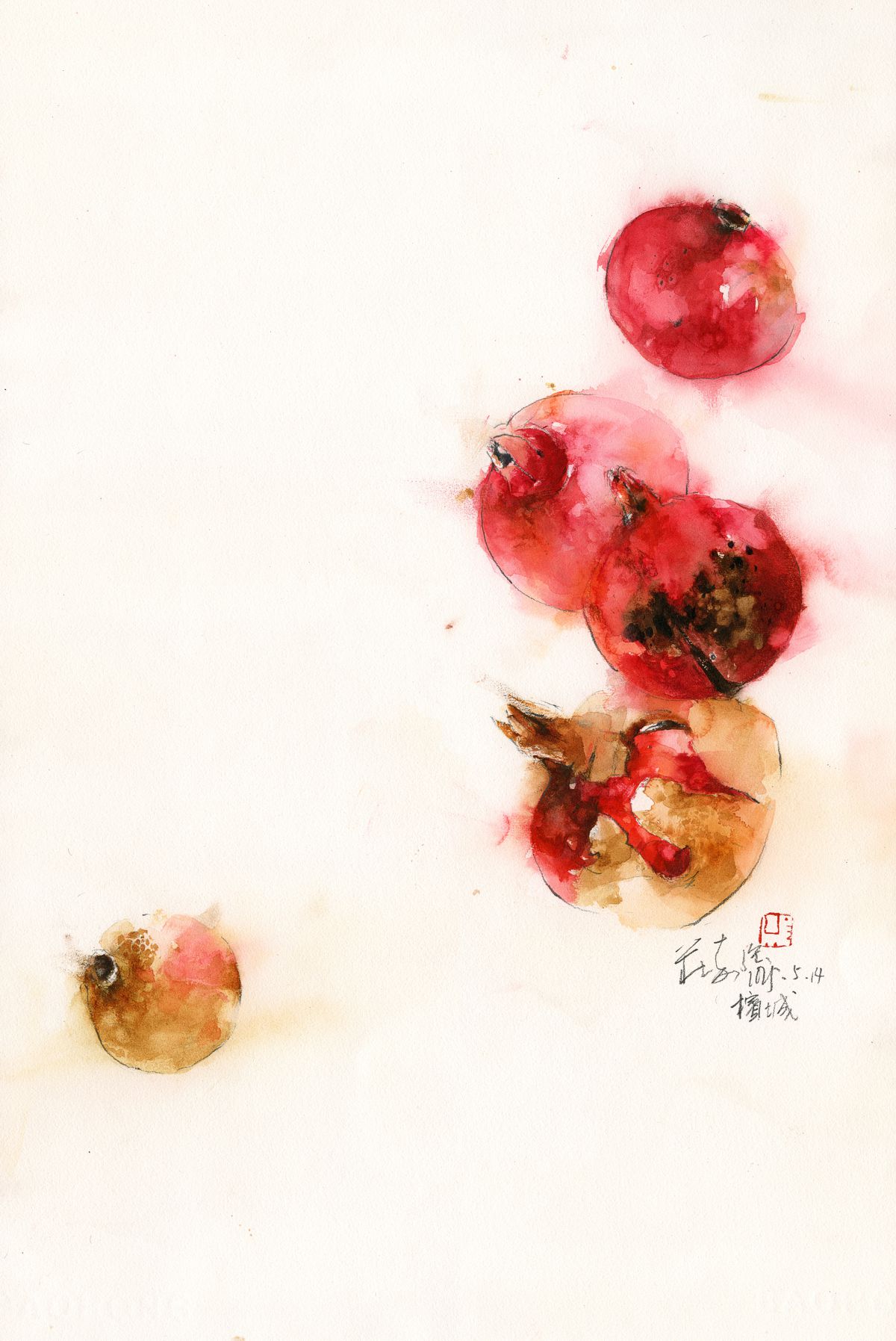 20250514 Pomegranates